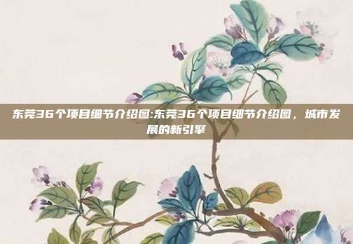 东莞36个项目细节介绍图:东莞36个项目细节介绍图，城市发展的新引擎