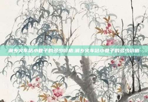 湘乡火车站小巷子的多少价格:湘乡火车站小巷子的多少价格