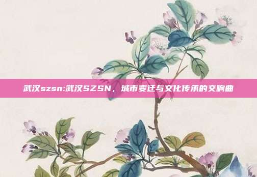 武汉szsn:武汉SZSN，城市变迁与文化传承的交响曲