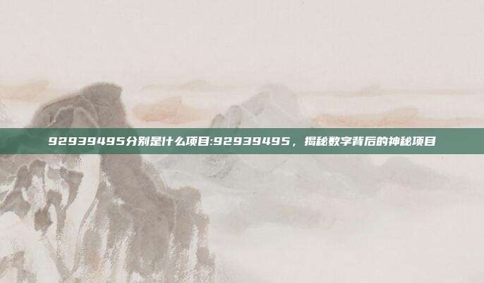 92939495分别是什么项目:92939495，揭秘数字背后的神秘项目