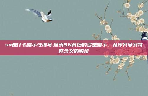 sn是什么暗示性缩写:探索SN背后的多重暗示，从序列号到特殊含义的解析