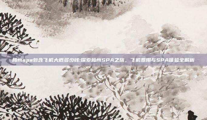 梅州spa包含飞机大概多少钱:探索梅州SPA之旅，飞机费用与SPA体验全解析