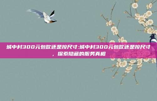 城中村300元包吹还是按尺寸:城中村300元包吹还是按尺寸，探索隐藏的服务真相