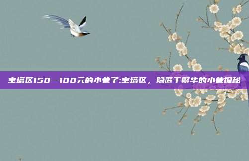 宝塔区150一100元的小巷子:宝塔区，隐匿于繁华的小巷探秘