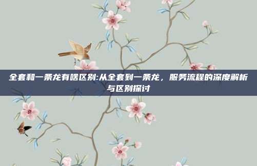 全套和一条龙有啥区别:从全套到一条龙，服务流程的深度解析与区别探讨