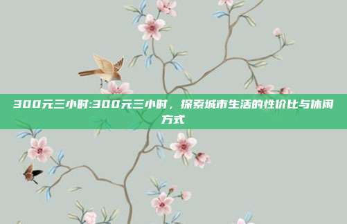 300元三小时:300元三小时，探索城市生活的性价比与休闲方式