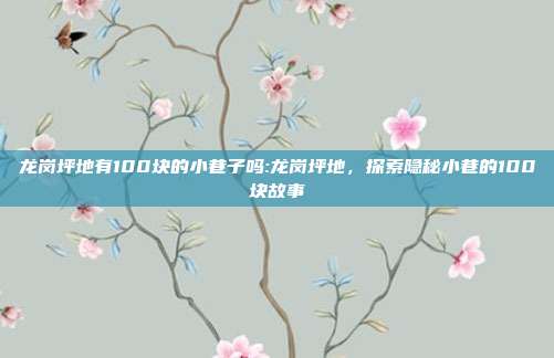 龙岗坪地有100块的小巷子吗:龙岗坪地，探索隐秘小巷的100块故事