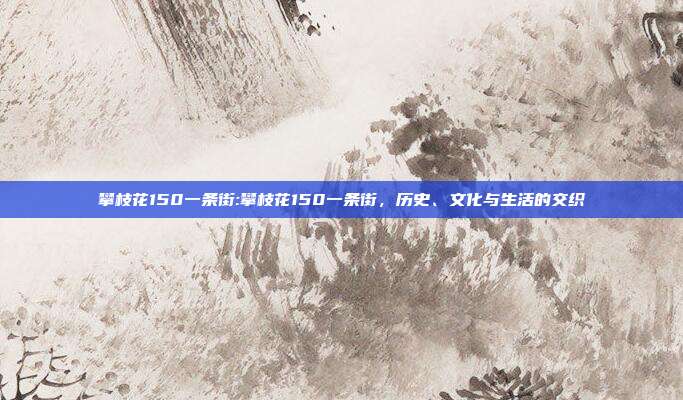 攀枝花150一条街:攀枝花150一条街，历史、文化与生活的交织