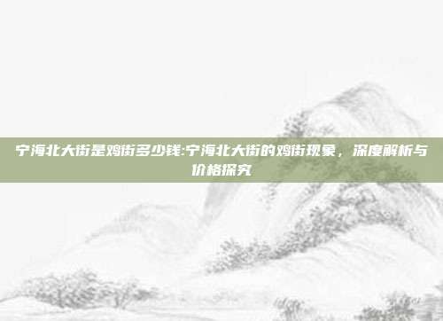 宁海北大街是鸡街多少钱:宁海北大街的鸡街现象，深度解析与价格探究