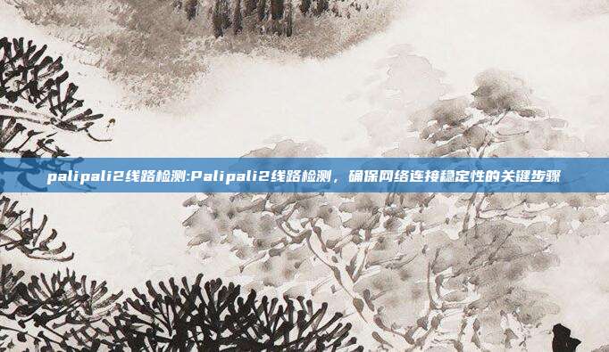 palipali2线路检测:Palipali2线路检测，确保网络连接稳定性的关键步骤