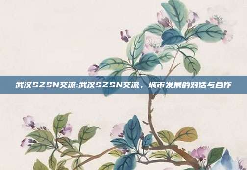 武汉SZSN交流:武汉SZSN交流，城市发展的对话与合作