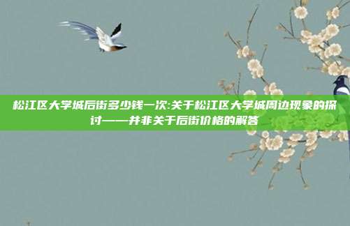 松江区大学城后街多少钱一次:关于松江区大学城周边现象的探讨——并非关于后街价格的解答