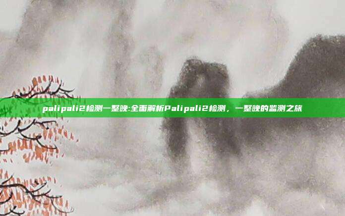 palipali2检测一整晚:全面解析Palipali2检测，一整晚的监测之旅