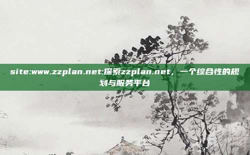 site:www.zzplan.net:探索zzplan.net，一个综合性的规划与服务平台