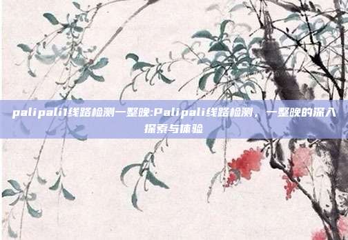 palipali1线路检测一整晚:Palipali线路检测，一整晚的深入探索与体验