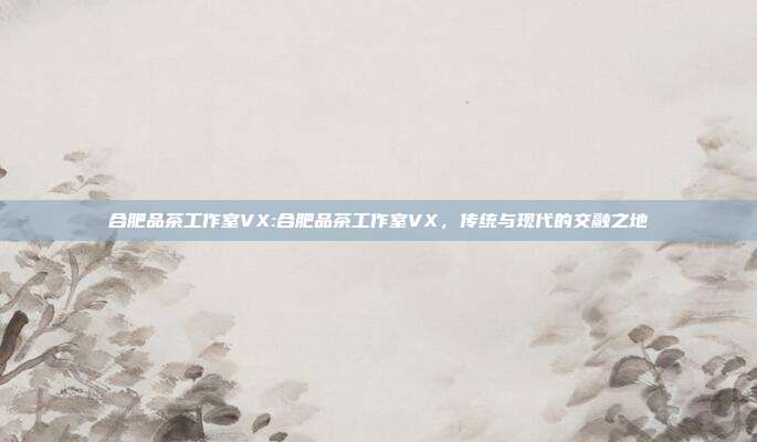 合肥品茶工作室VX:合肥品茶工作室VX，传统与现代的交融之地