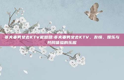 非夫妻男女去KTV能做啥:非夫妻男女去KTV，友情、娱乐与共同体验的乐趣