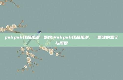 palipali线路检测一整晚:Palipali线路检测，一整晚的坚守与探索