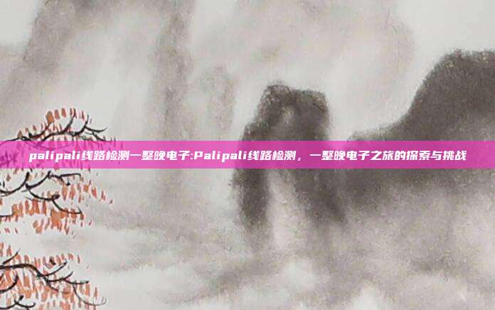 palipali线路检测一整晚电子:Palipali线路检测，一整晚电子之旅的探索与挑战