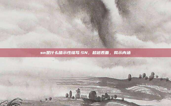 sn是什么暗示性缩写:SN，超越表面，揭示内涵