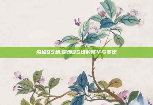 深圳95场:深圳95场的繁华与变迁