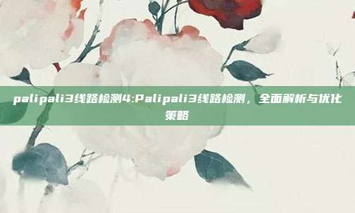 palipali3线路检测4:Palipali3线路检测，全面解析与优化策略