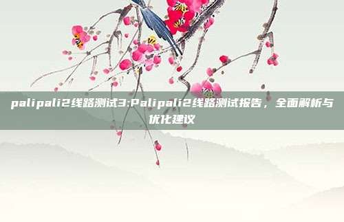 palipali2线路测试3:Palipali2线路测试报告，全面解析与优化建议